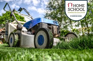 Spring Clean-Up: Early Spring Lawn Care